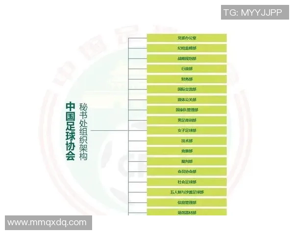 以中国足协为核心推动足球改革与发展路径探析