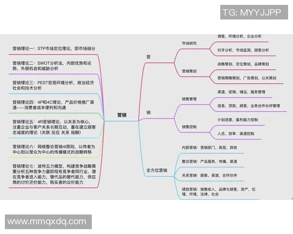 营销策划如何驱动品牌成长与市场拓展全面分析与策略建议