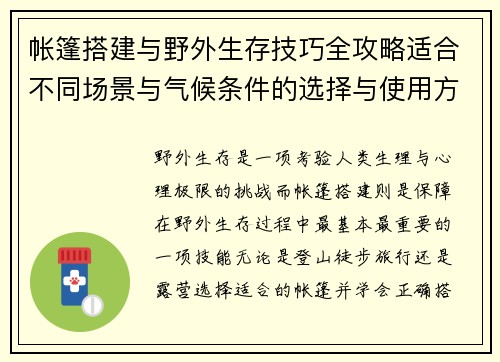 帐篷搭建与野外生存技巧全攻略适合不同场景与气候条件的选择与使用方法