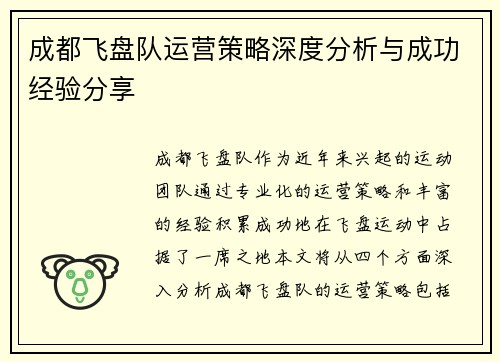 成都飞盘队运营策略深度分析与成功经验分享